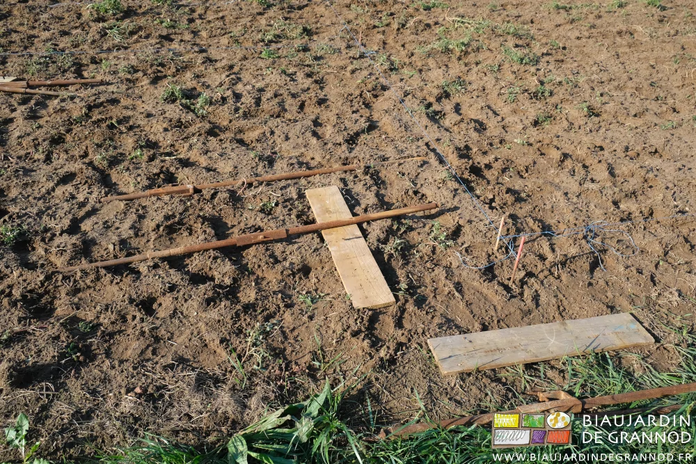 photo des planches et supports de chaises pour creuser les fouilles
