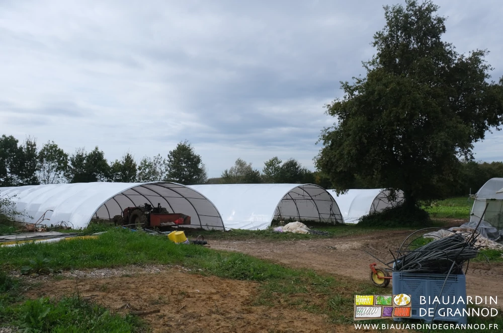 photo de 2 tunnels nouvellement bâchés de blanc à côté du déjà existant