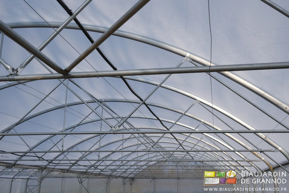 photo d'ensemble du fil ettube d'arrosage, des barres de culture et leurs fils de fer