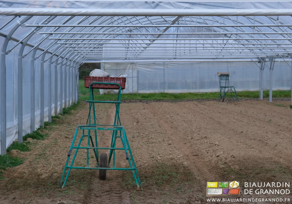 photo sous tunnel des 2 brouettes escabeau