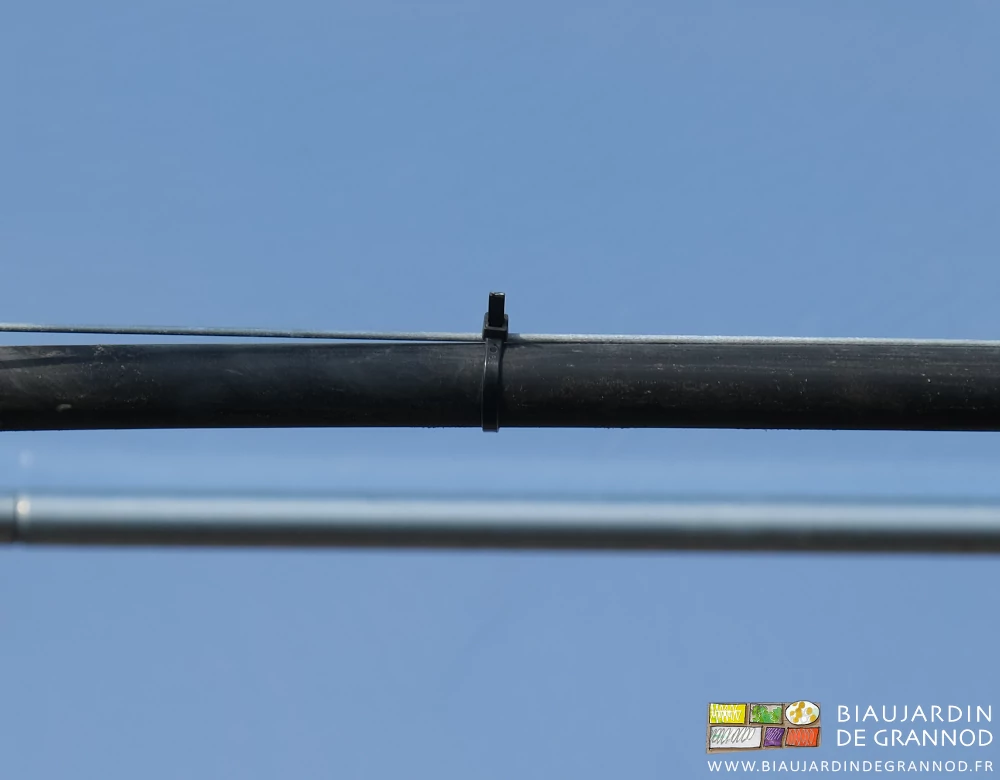 photo d'un collier serrant le tube d'arrosage à son fil porteur