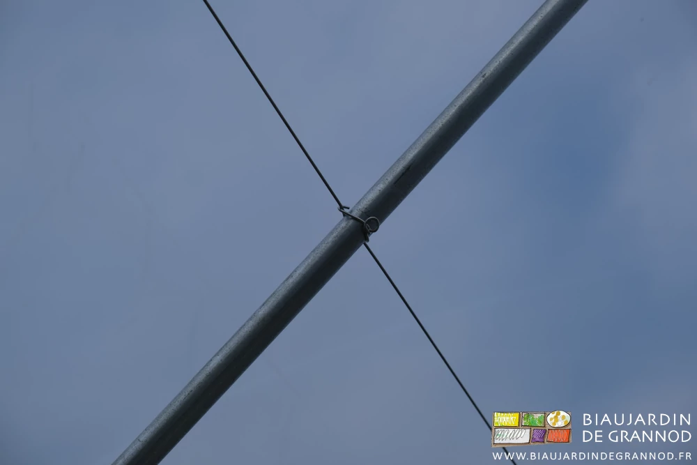 photo du fil d'arrosage fixé solidement à chaque bracon pour ne pas bouger avec le temps