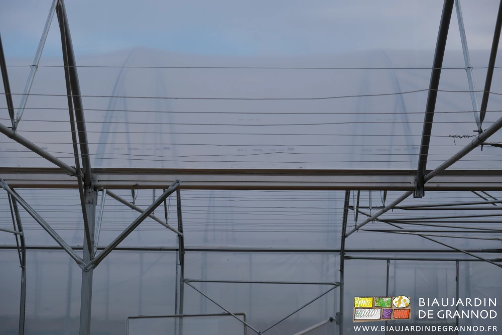 photo perpendiculaire à la série de fils déroulés sur les barres de culture