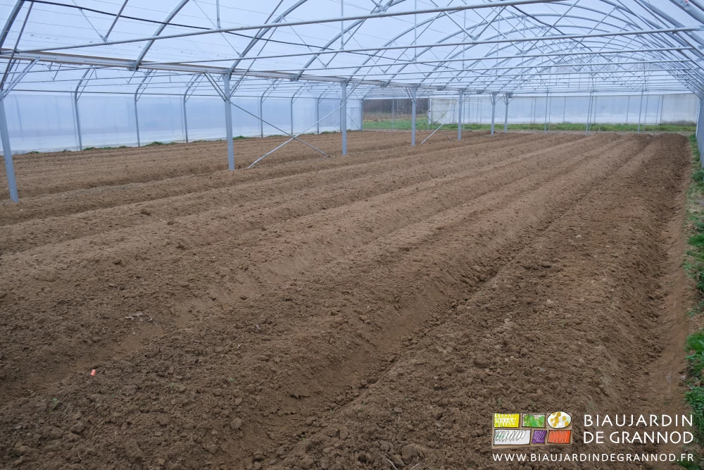 photo d'un bi-tunnel toutes les planches montées au cultibutte