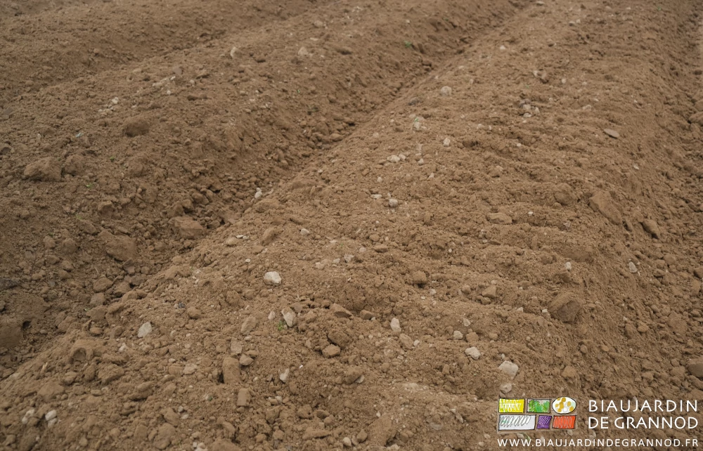 photo ptoche de la terre souple et légèrement motteuse d'une nouvelles planche permanente