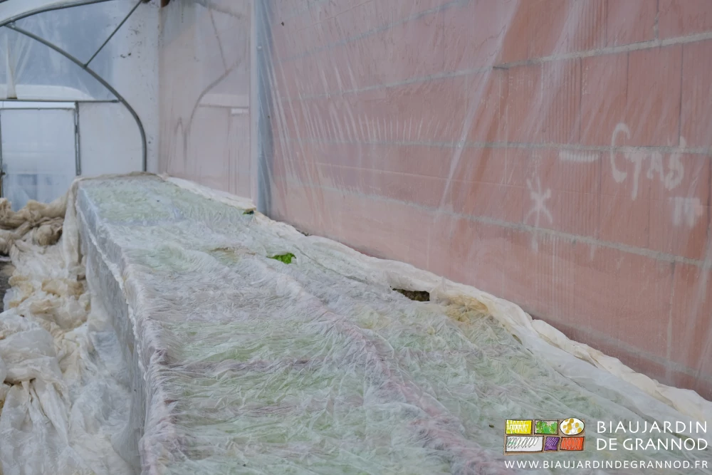 photo des caisses de mottes couvertes d'un voile sous notre serre bioclimatique