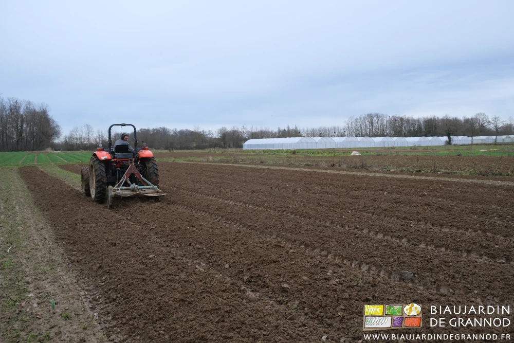 photo du travail en cours sous ciel gris dans un carré du jardin