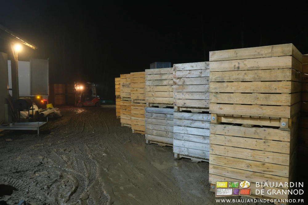 photo des piles de 2 palox préparés pour retour chez le producteur de racines