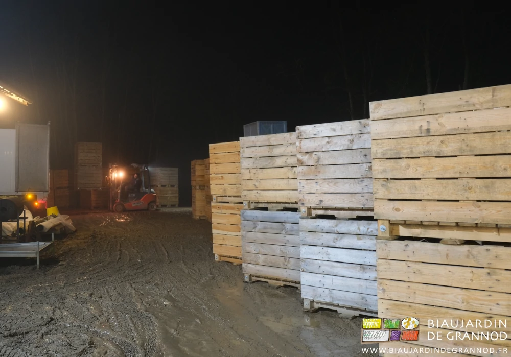 photo des piles de 2 palox vides en attente dans la cour pour retour chez le producteur