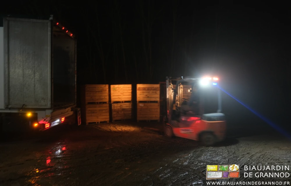photo des palox de racines rangés au bord de la cour