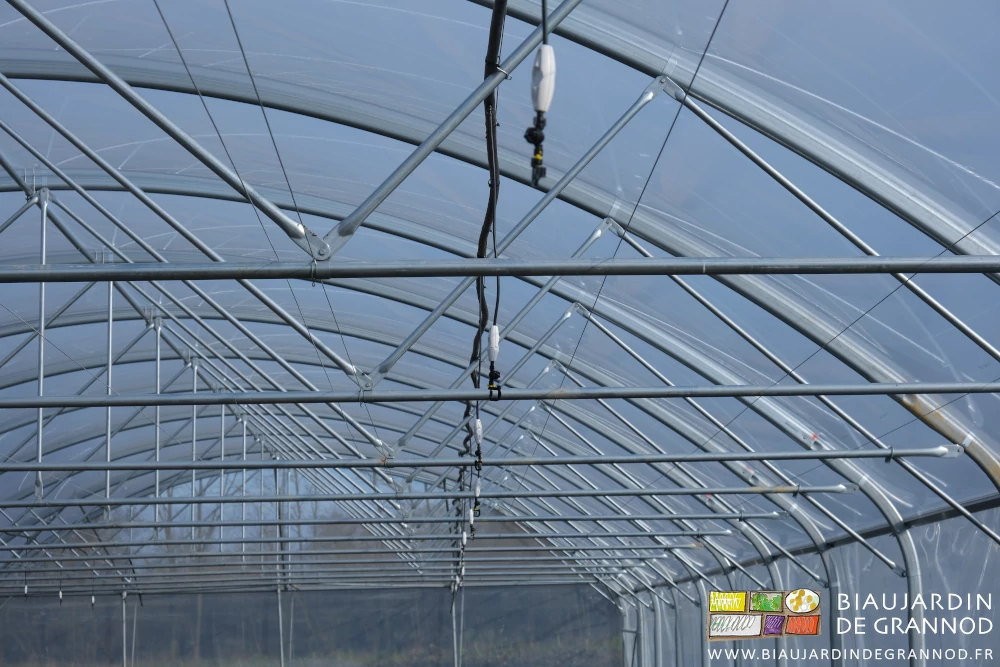 photo en alignement d'un tube d'arrosage avec ses asperseurs bas débit