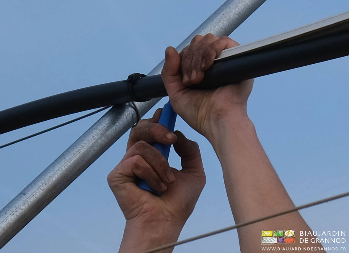 photo des mains poussant l'emporte pièce et retenant le tuyau d'arrosage