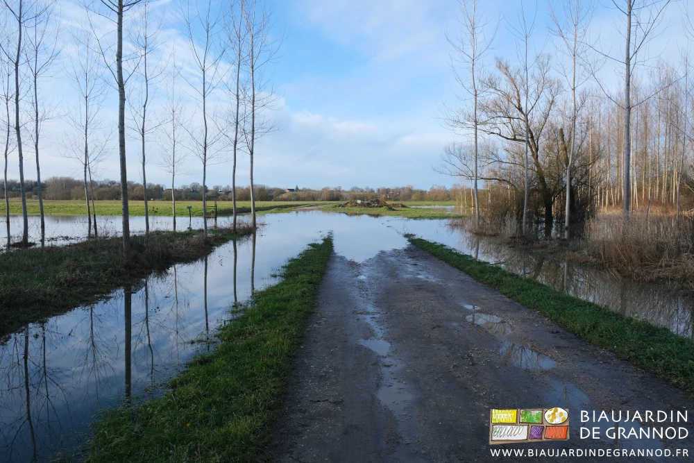 photo du chemin de Seille couvert par l'eau débordant du bief
