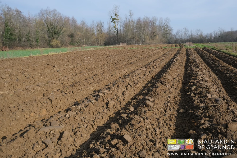 photo d'ensemble sous ciel bleu de plusieurs carré intégralement buttés