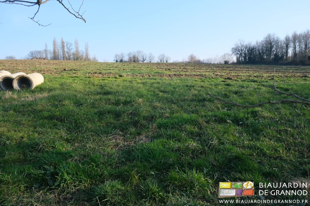 photo de la parcelle du haut prise depuis les acacias