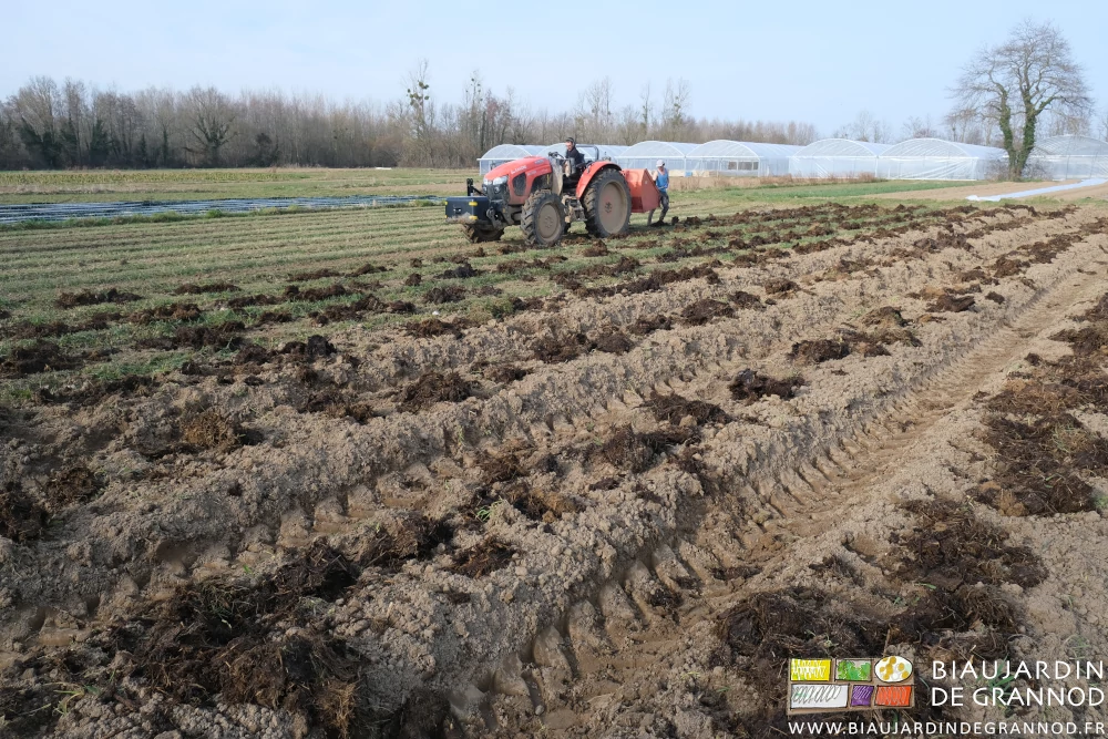 photo d'ensemble du tracteur dans le carré aux planches déjà garnies de leur modeste dose de fumier de bovin
