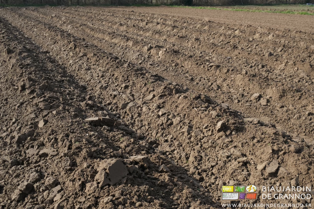 photo des buttes montées avec un relief et des mottes grossières