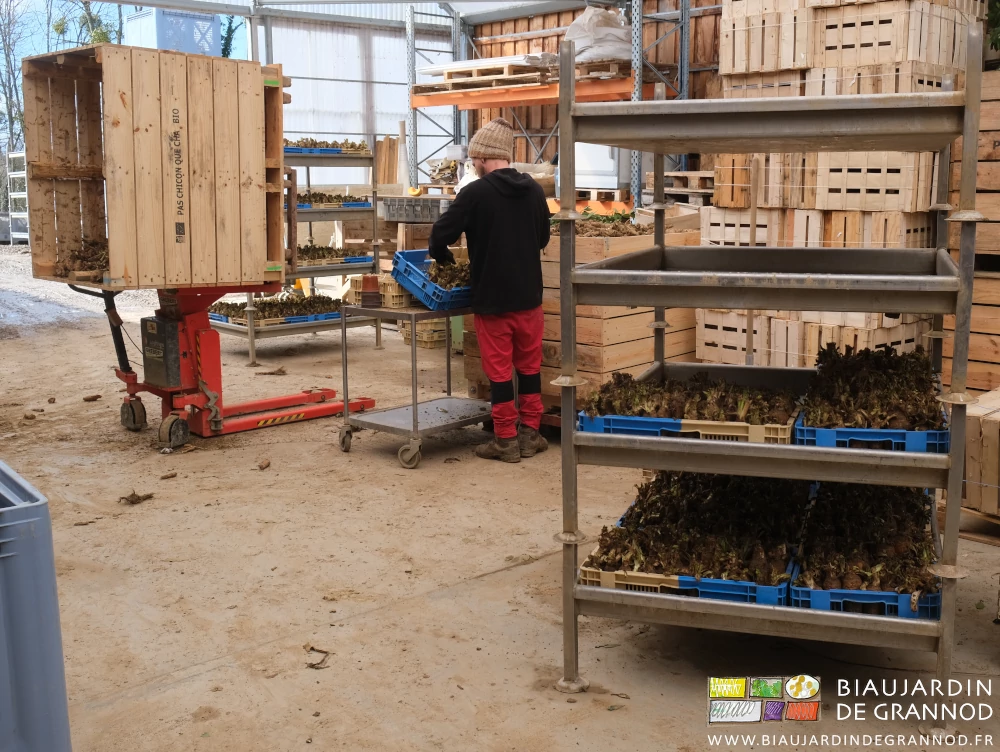 photo d'ensemble travail sur table roulante, utilisation du basculeur, bacs empilés par 4