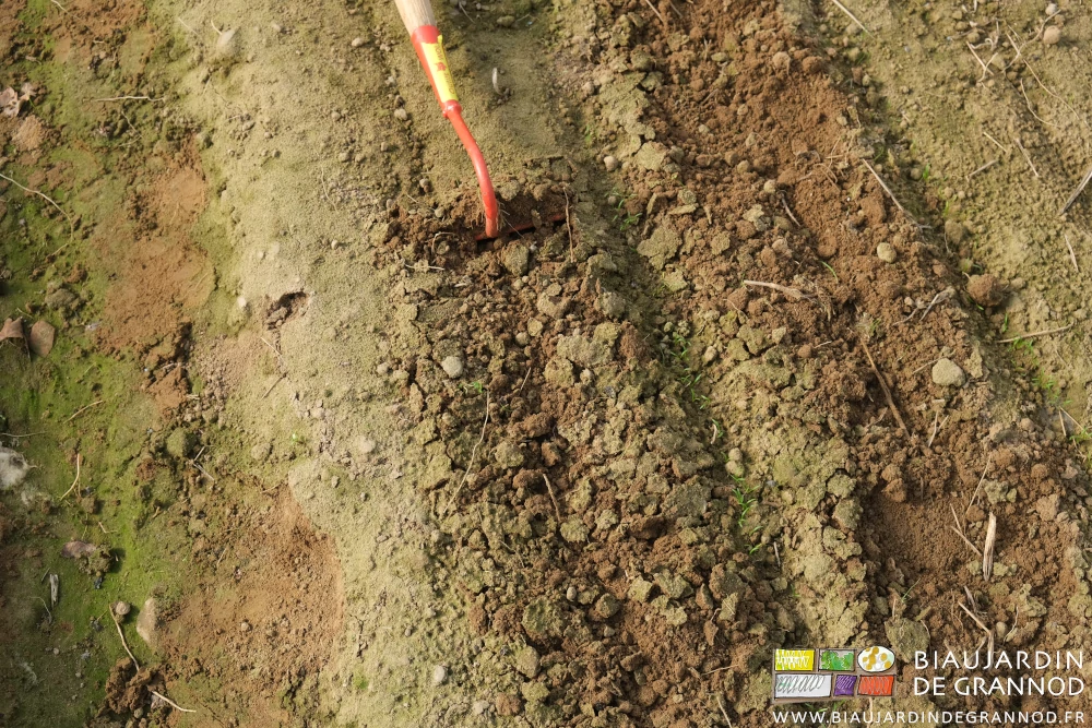 photo du binage extérieur du rang de bordure