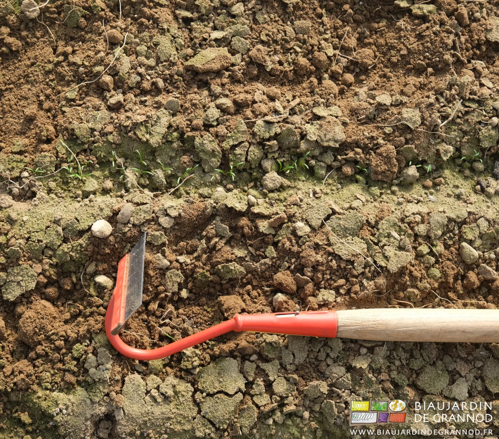 photo de la lame sur col de cygne, la douille emmanchée sur du frêne