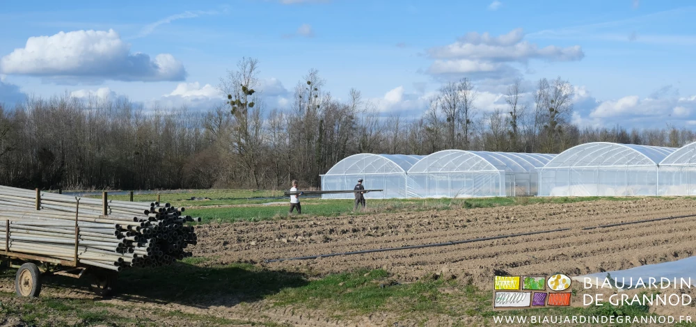 photo de Vivien et valentin répartissant les tubes de 6 mètres dans les carrés de légumes