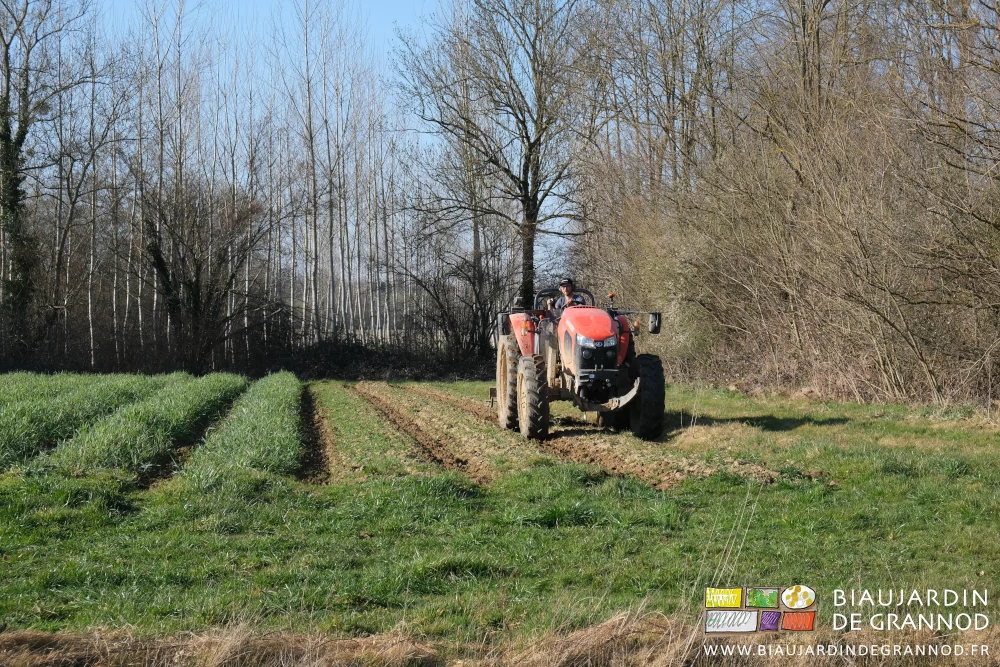 photo de Matthieu binant au tracteur orange des allées sur fond de haie bocagère et ciel bleu