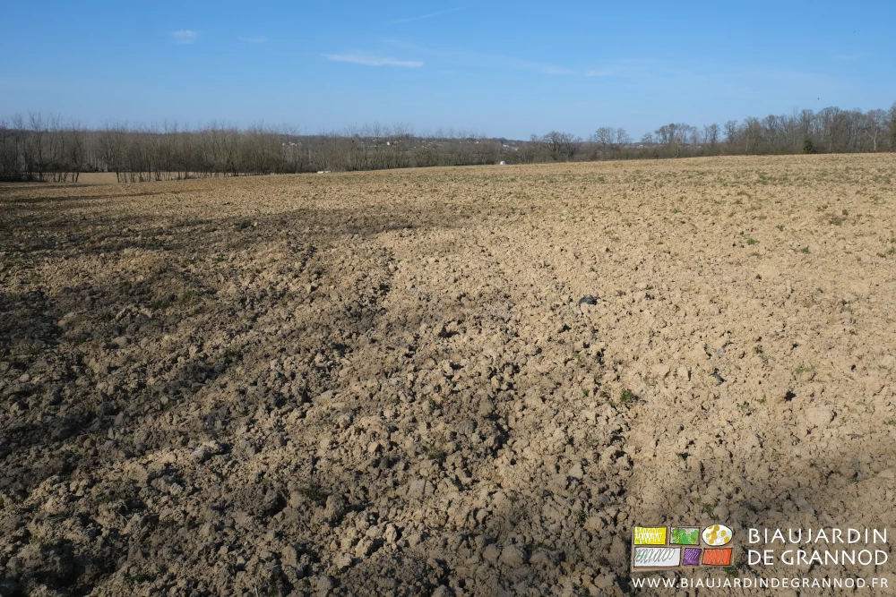 photo d'ensemble de la parcelle déchaumée en attente de reprise