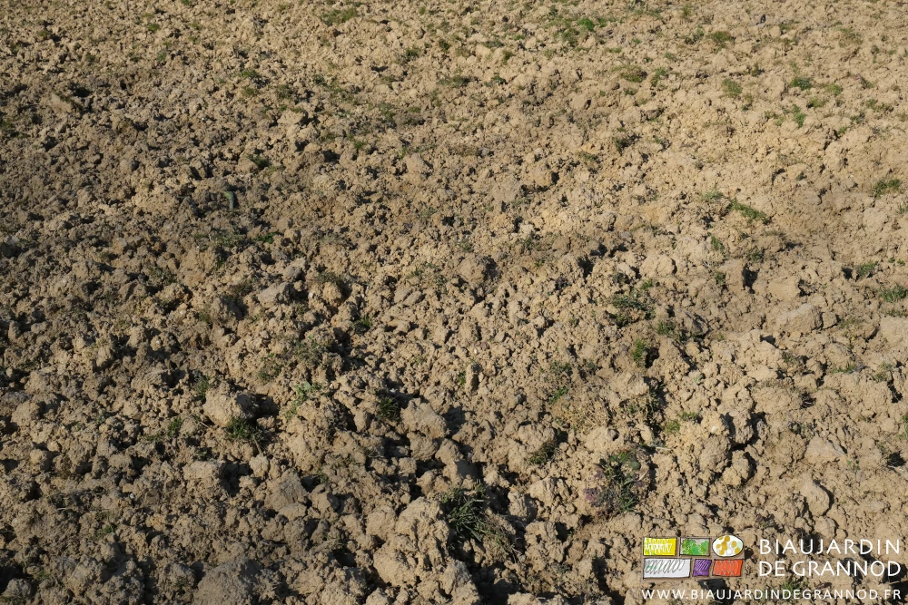 photo proche des mottes de terre en train de durcir