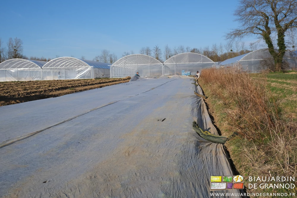 photo d'ensemble des planches protégés par le voile retenu par les silosacs