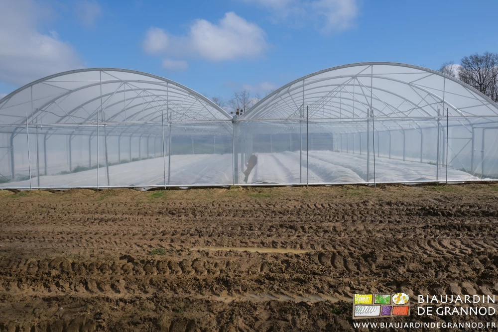 photo du pignon d'un bi-tunnel sous ciel bleu planches encores couvertes du voile thermique