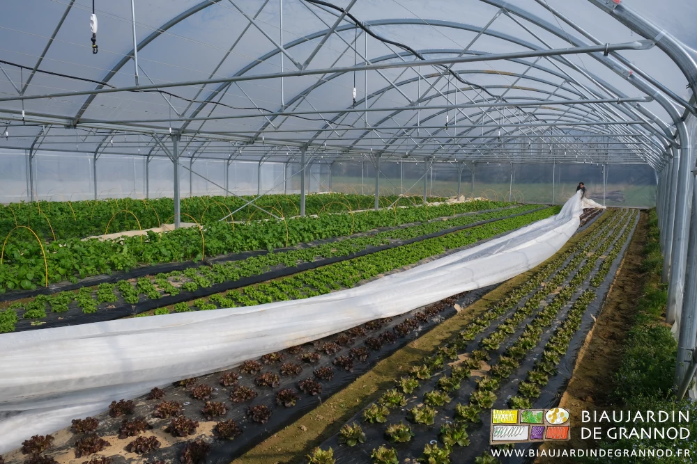 photo de débâchage en cours