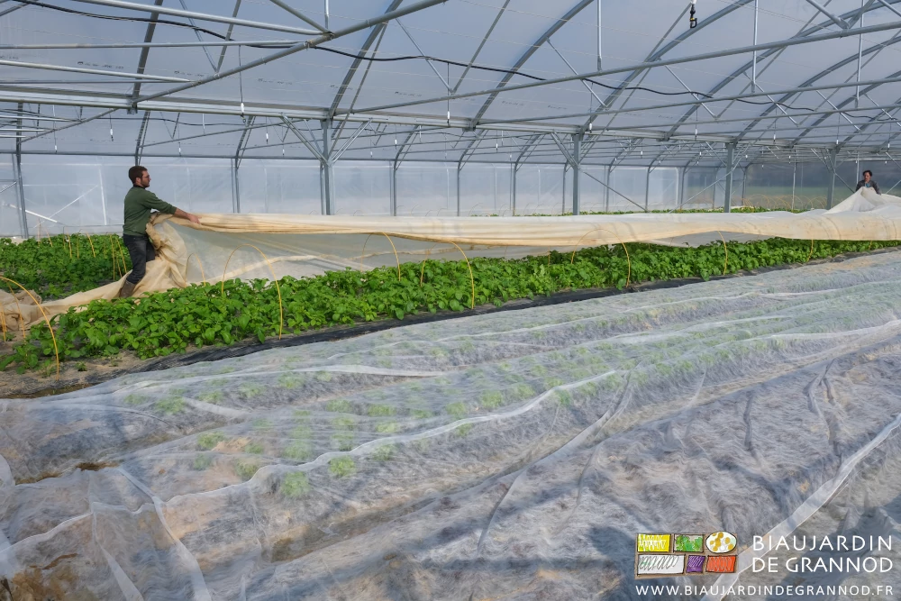 photo de Matthieu et Vivien enlevant les voiles thermiques