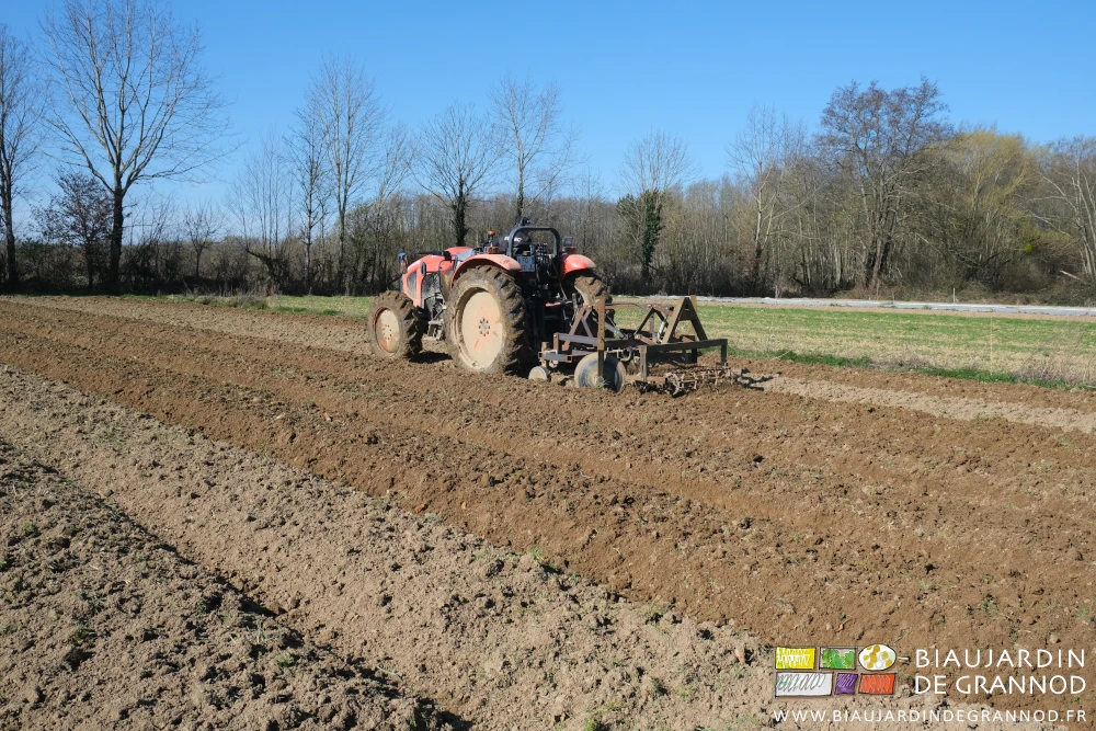 photo sous ciel bleu de Matthieu travaillant au cultibutte des planches pour de prochaines plantations en plein champ