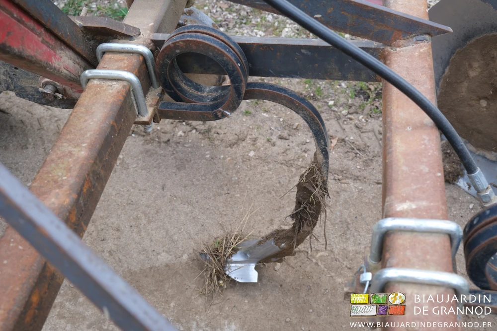 photo d'une dent double spire montée sur le cultibutte avec son soc étroit