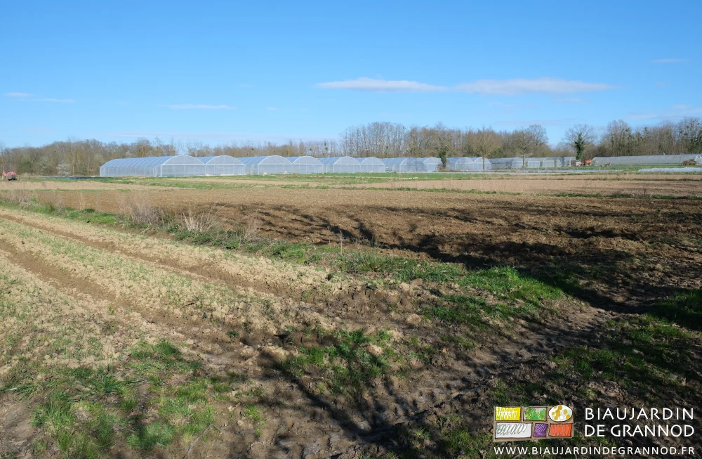 photo d'ensemble du jardin et au fond les tunnels