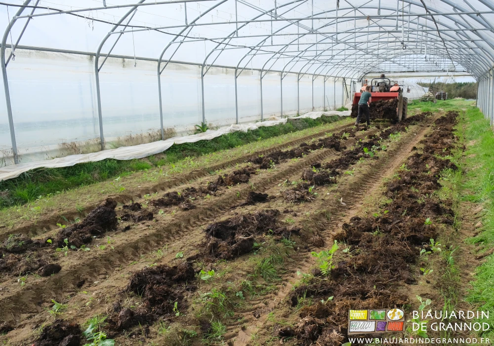 photo d'ensemble sous tunnel du tracteur portant son godet arrière en cours de vidage sur une planche permanente