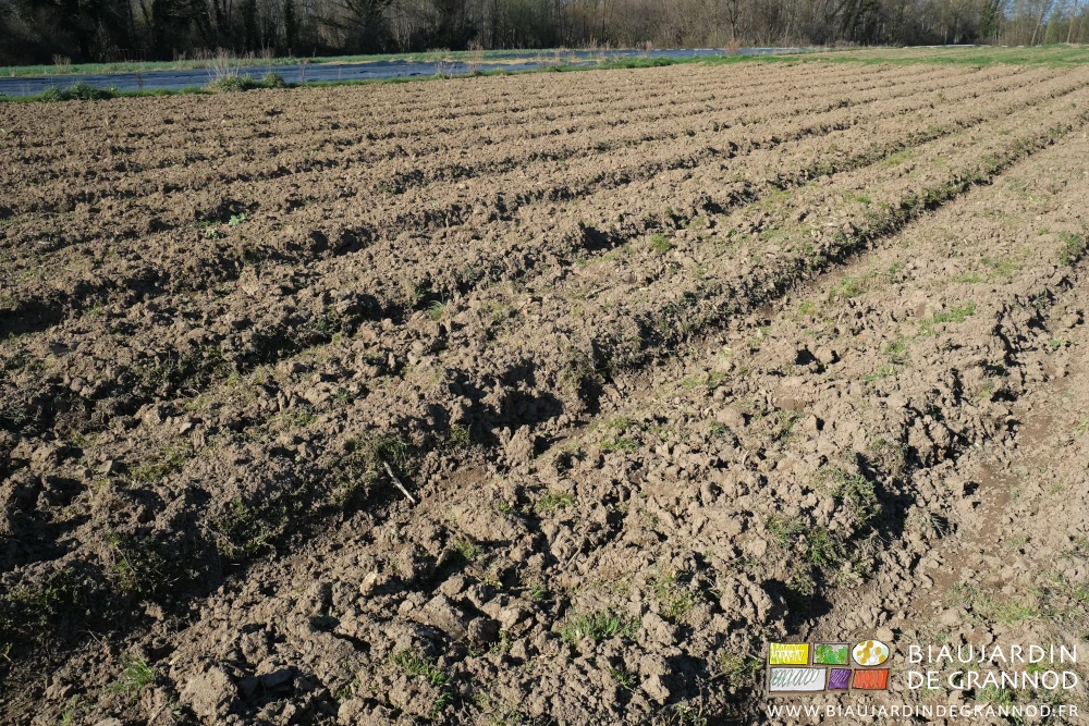photo de planches grossièrement préparées
