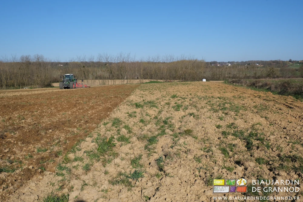photo de la parcelle et ses grosses mottes dures ou avec herbe