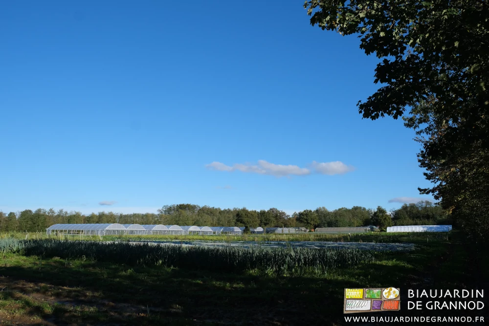 photo de nos tunnels intégrés dans le bocage de notre jardin sous ciel bleu