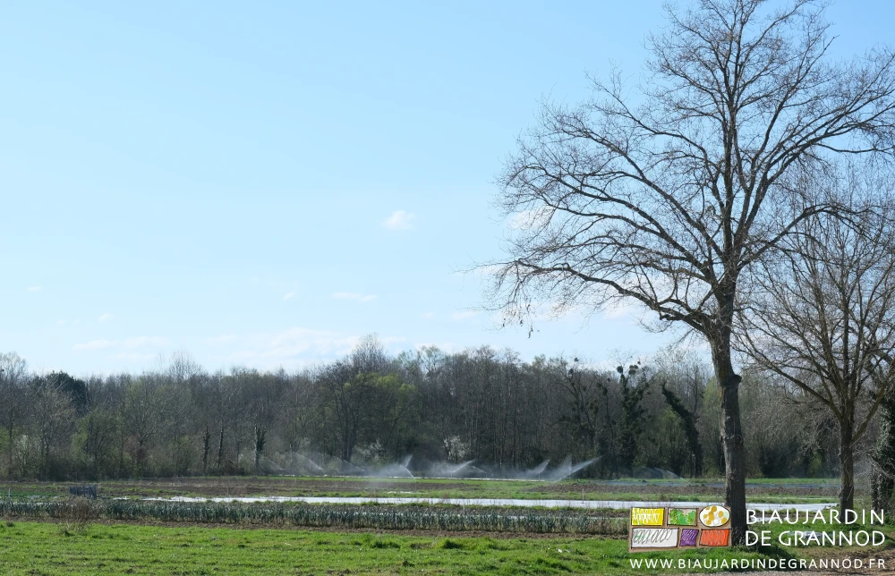 vue générale du jardin, des arroseurs en action sur fond de haies bocagère et ciel bleu