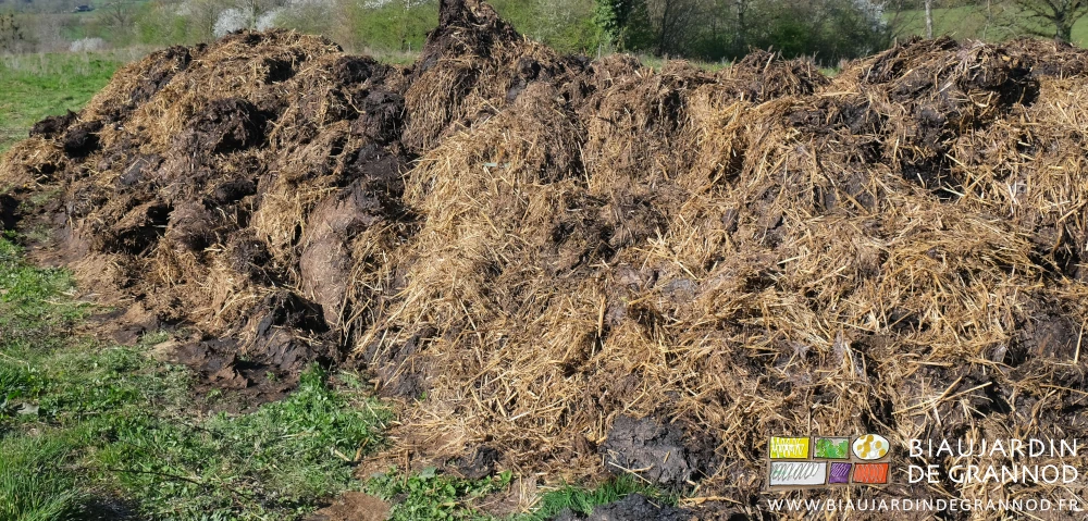 photo d'une remorque de fumier bennée au bord d'un pré avant rapide compostage aéré