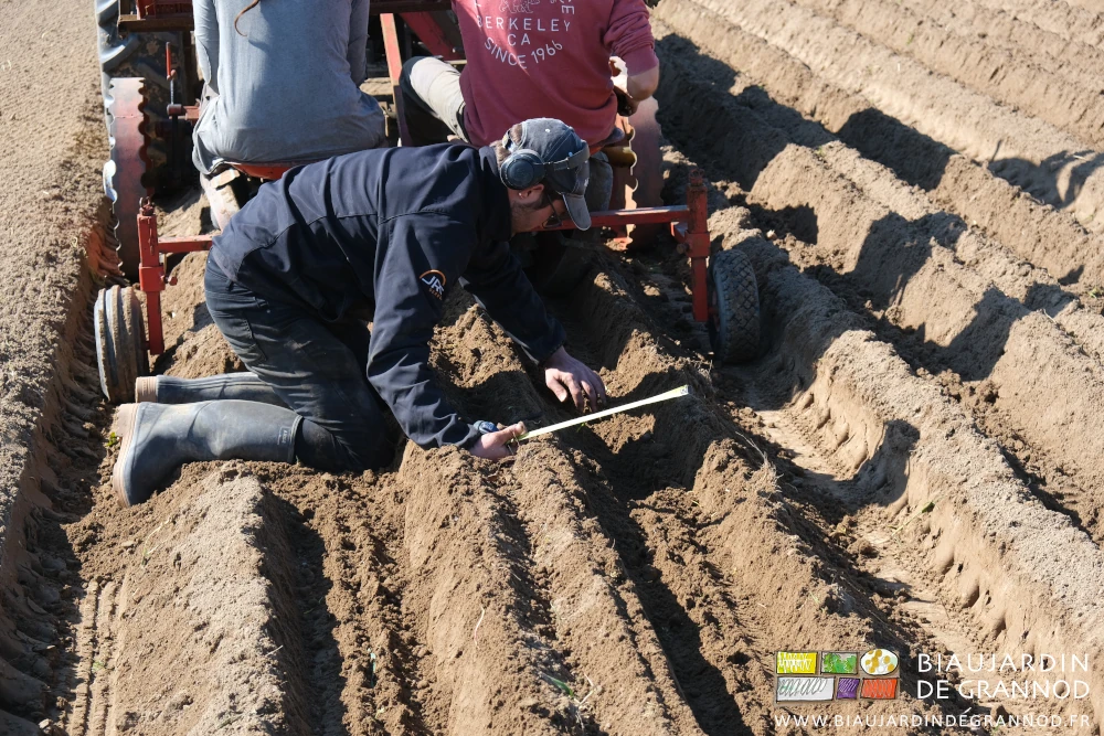 Photo Matthieu à genoux sur la planche le mètre à la main gratte pour trouver les plants