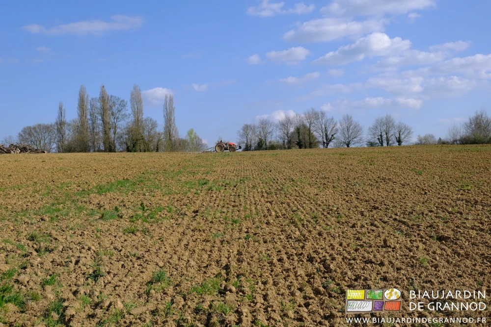 photo d'ensemble de cette grande parcelle