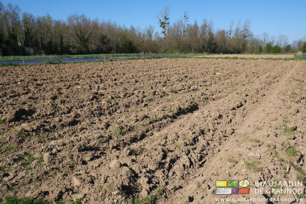 photo des planches buttées avec assez de relief pour favoriser l'aération