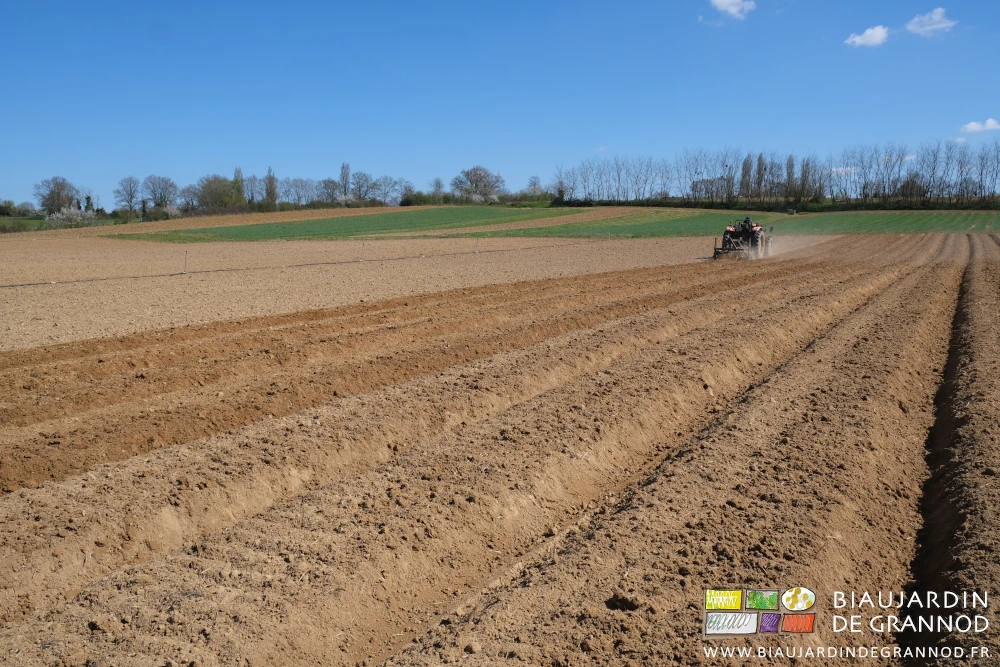 photo d'ensemble de la parcelle en cours d'aménagement où Matthieu monte des planches au cultibutte