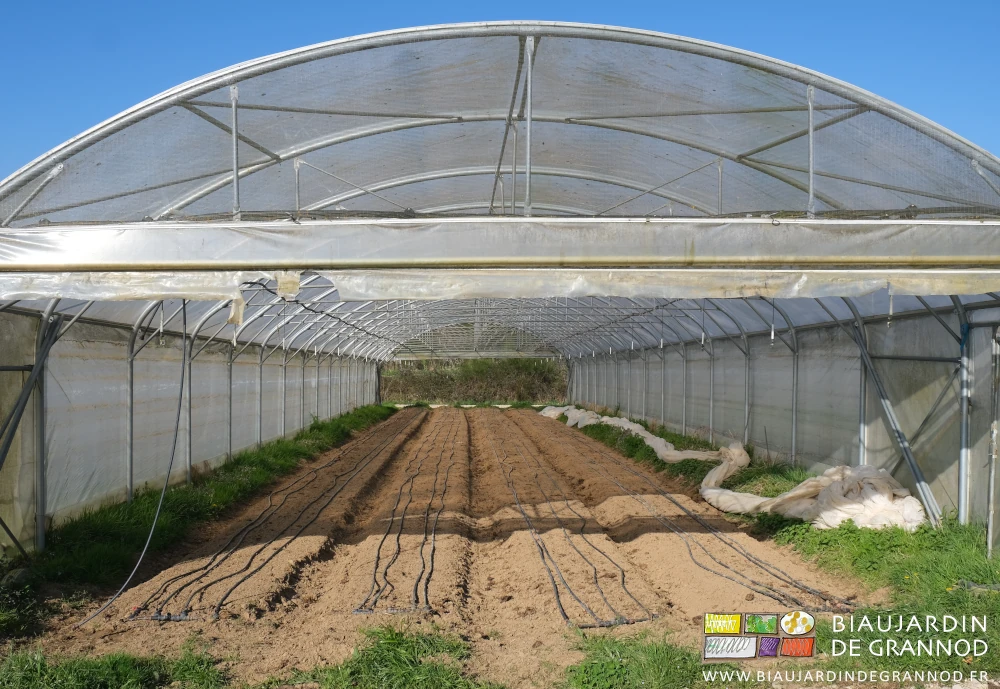 photo des 4 planches d'un tunnel avec dans chacune 4 gaines de goutte à goutte pour l'arrosage