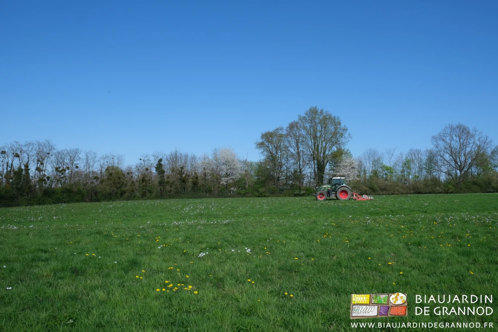 photo du tracteur hersant la prairie permanente bordée de belles haies à coté de notre bâtiment