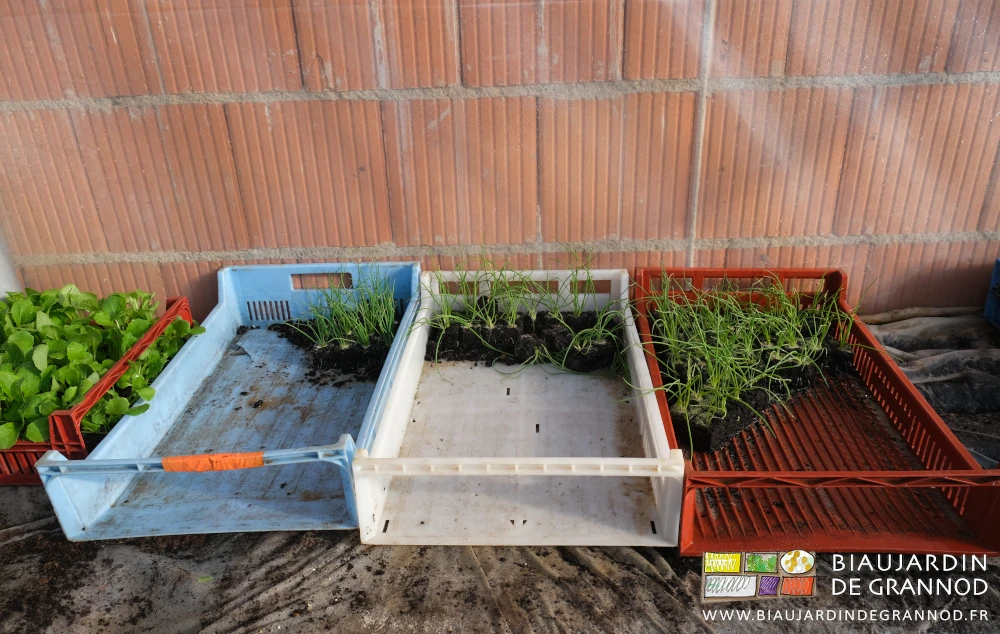 photo d'un alignement de 3 caisses bleu blanc et rouge