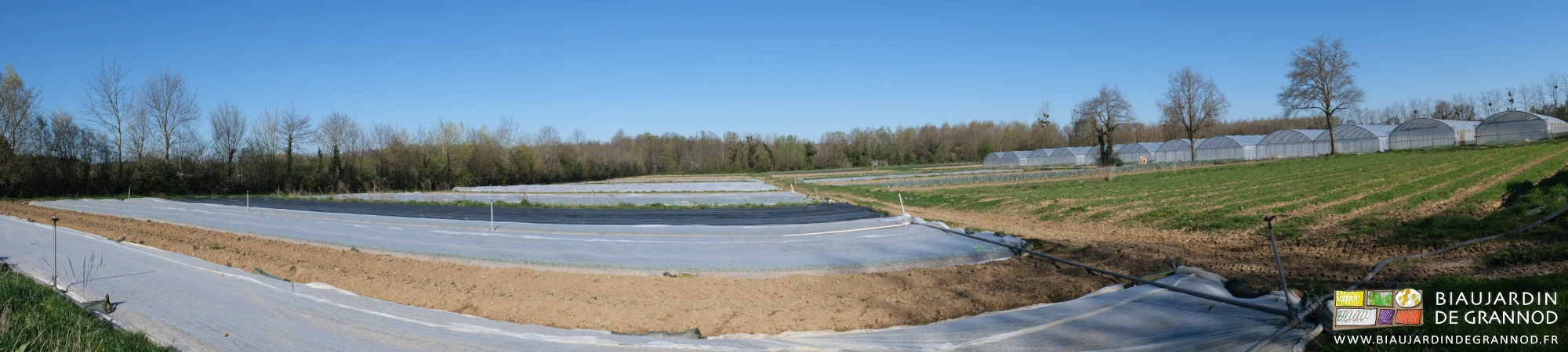 panoramique du jardin protégé par voiles thermiques sur fond de bocage aux feuilles naissantes