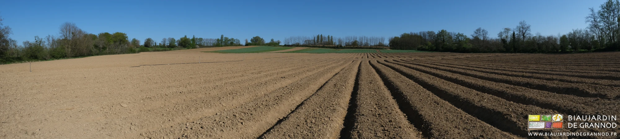panoramique d'une parcelle aux planches couvertes d'engrais vert ou juste montées au cultibutte